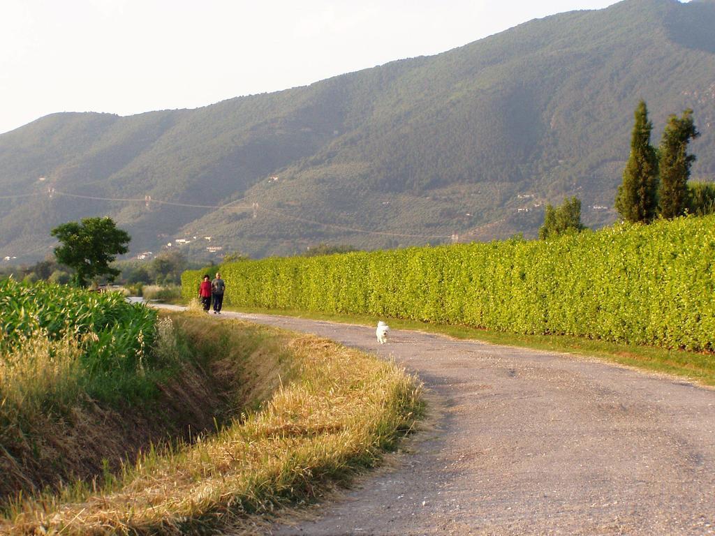 Agriturismo La Pisana Příroda fotografie